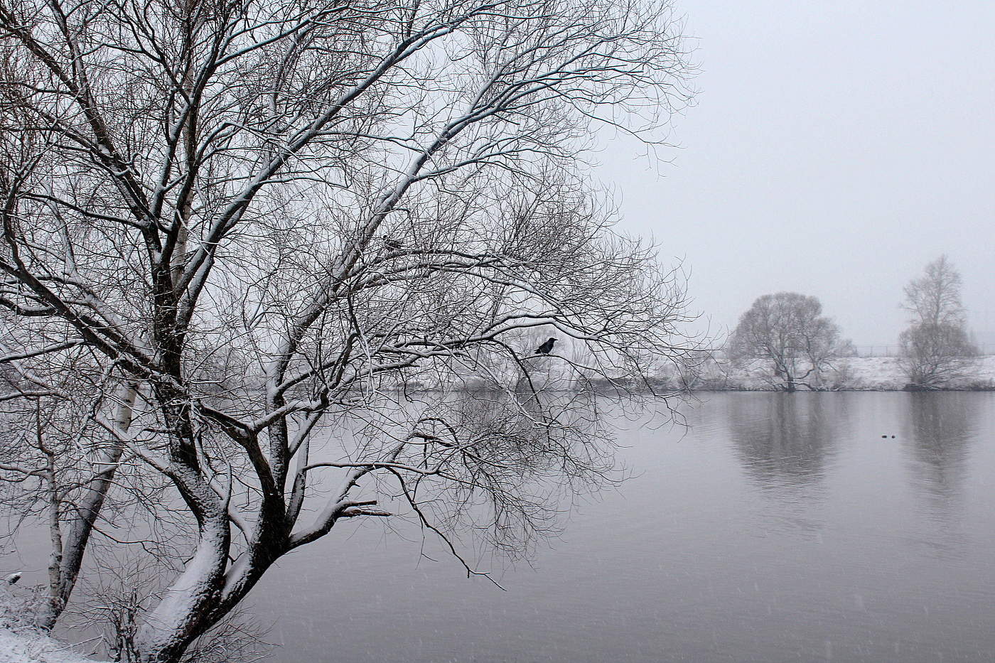 Графика зимы!