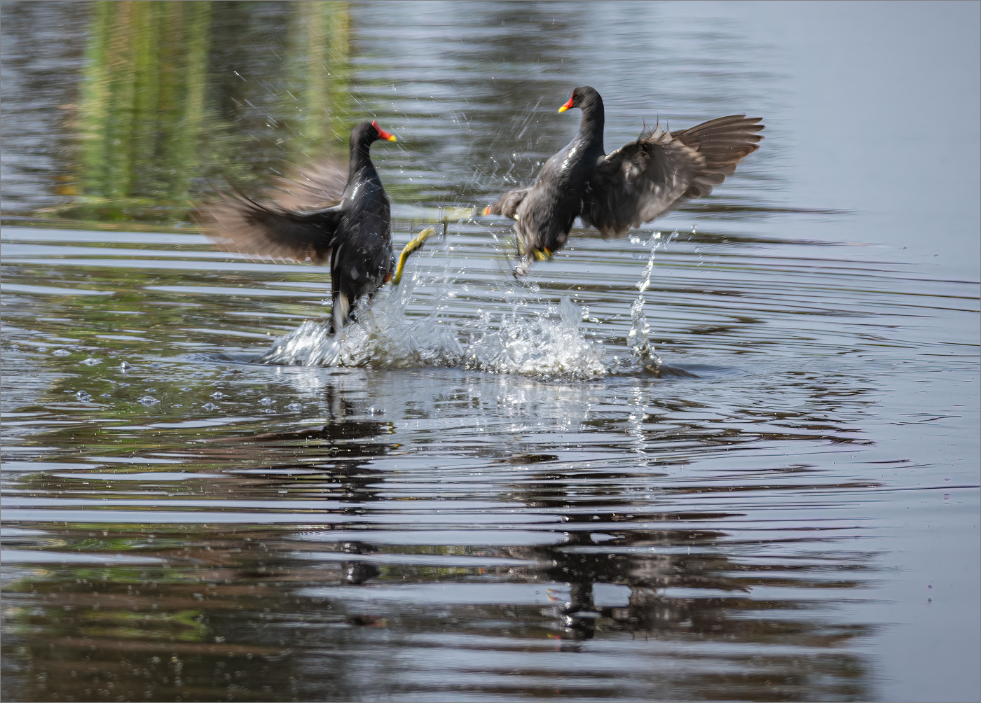 Кикбоксинг