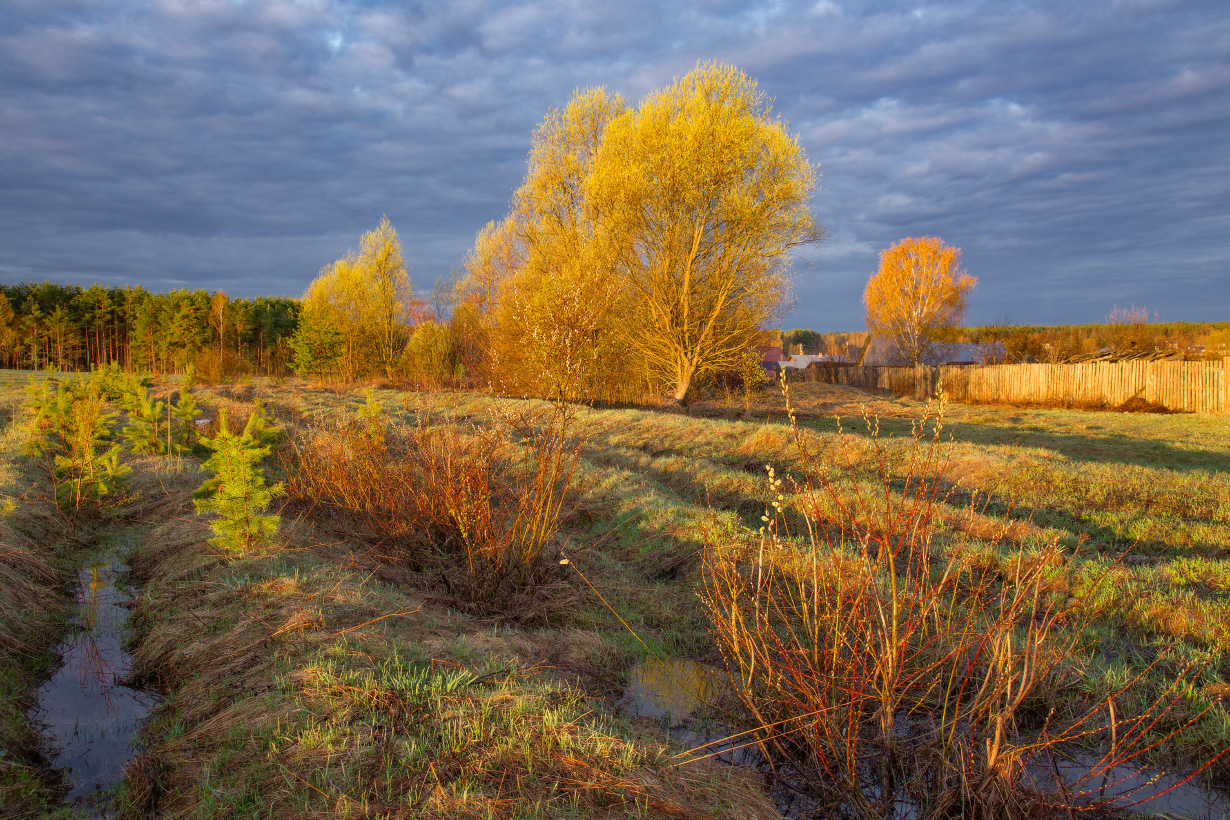 Апрельское утро. Серково.