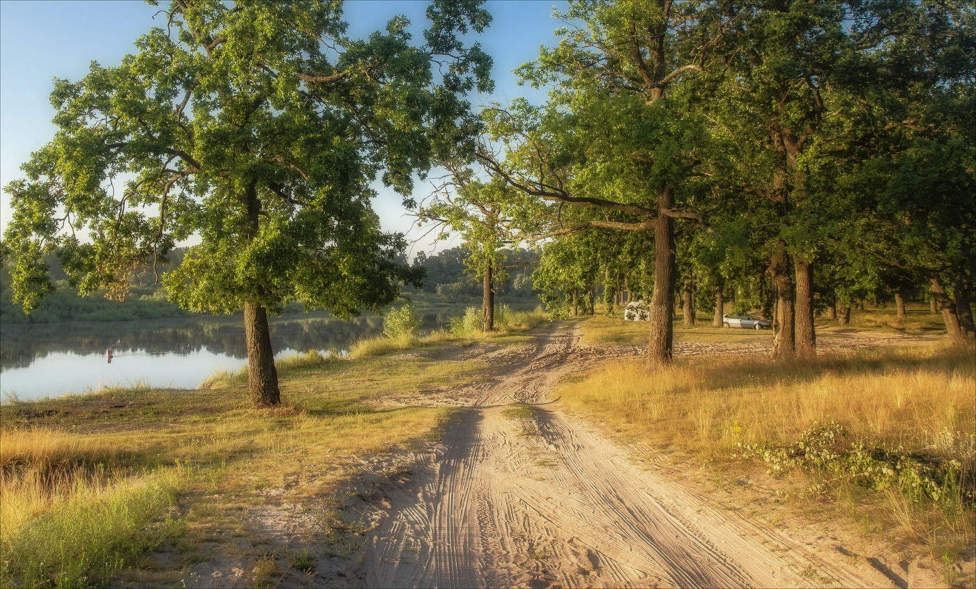 Утро в дремлющем лесу...