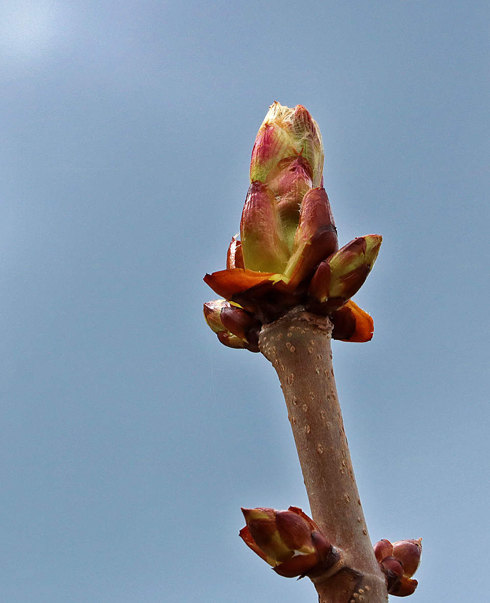 Уже вот-вот...