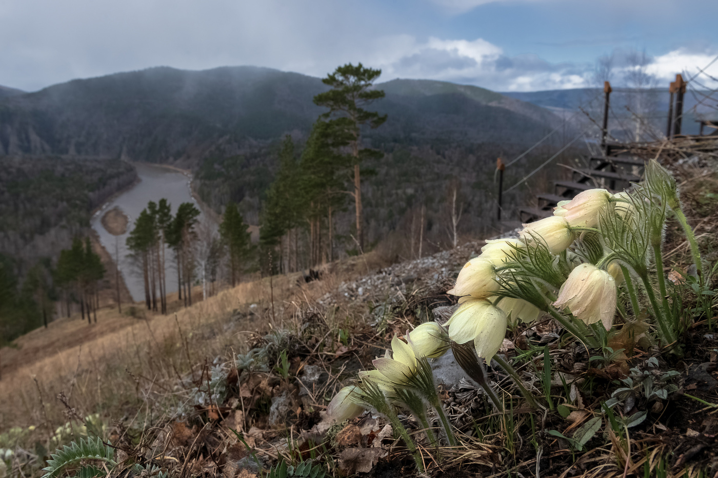 Весна-пора цветов