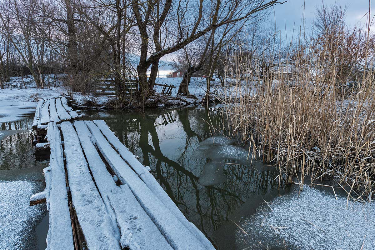 Утро в хуторе Самбуров
