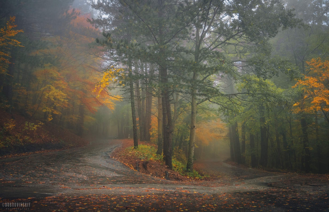 Дорогами осени