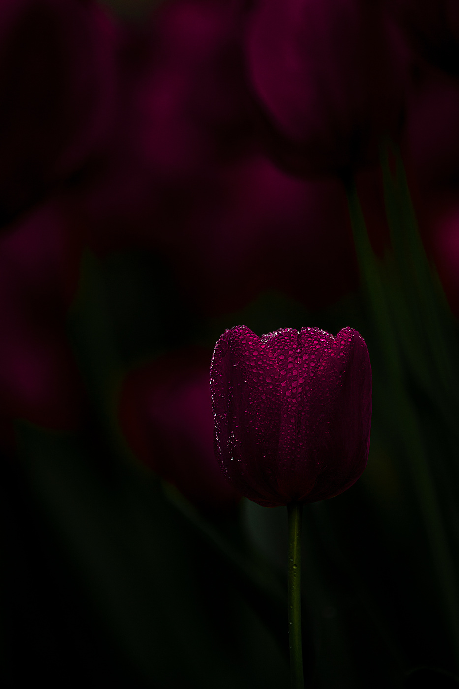 Апрельские краски.