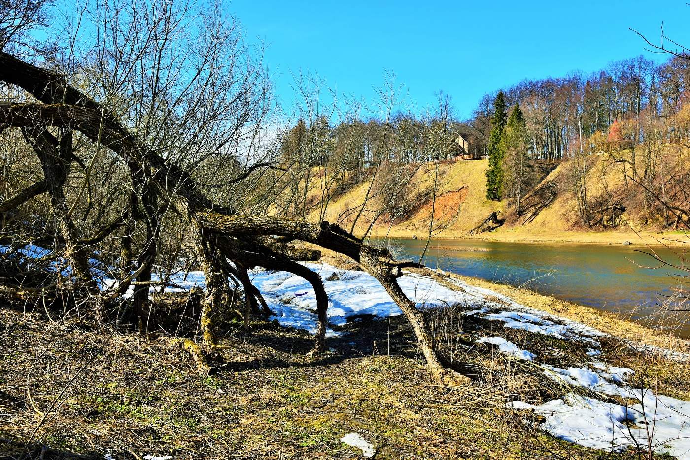 "Сугробы вянут на глазах ..."