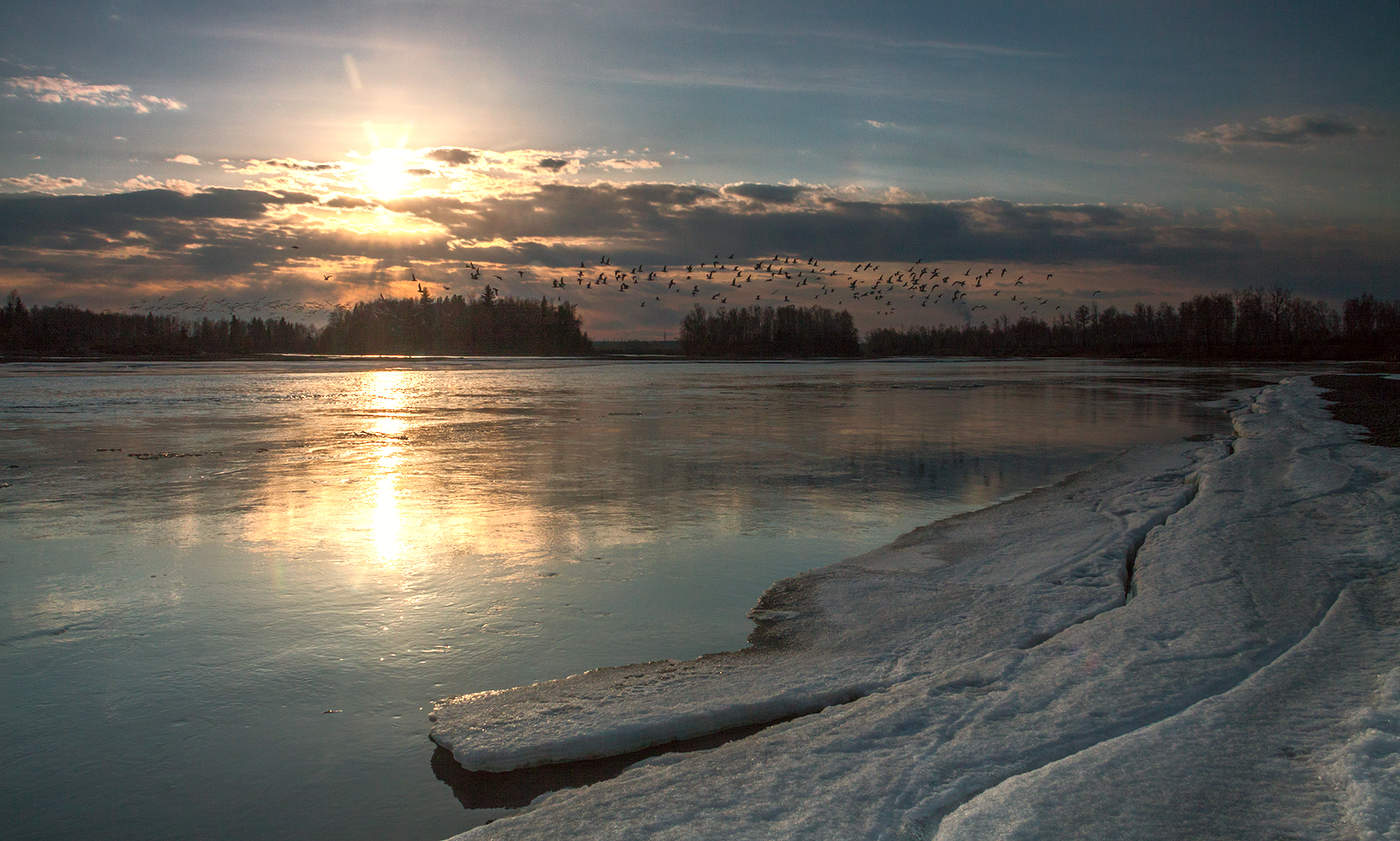 Ока весенняя