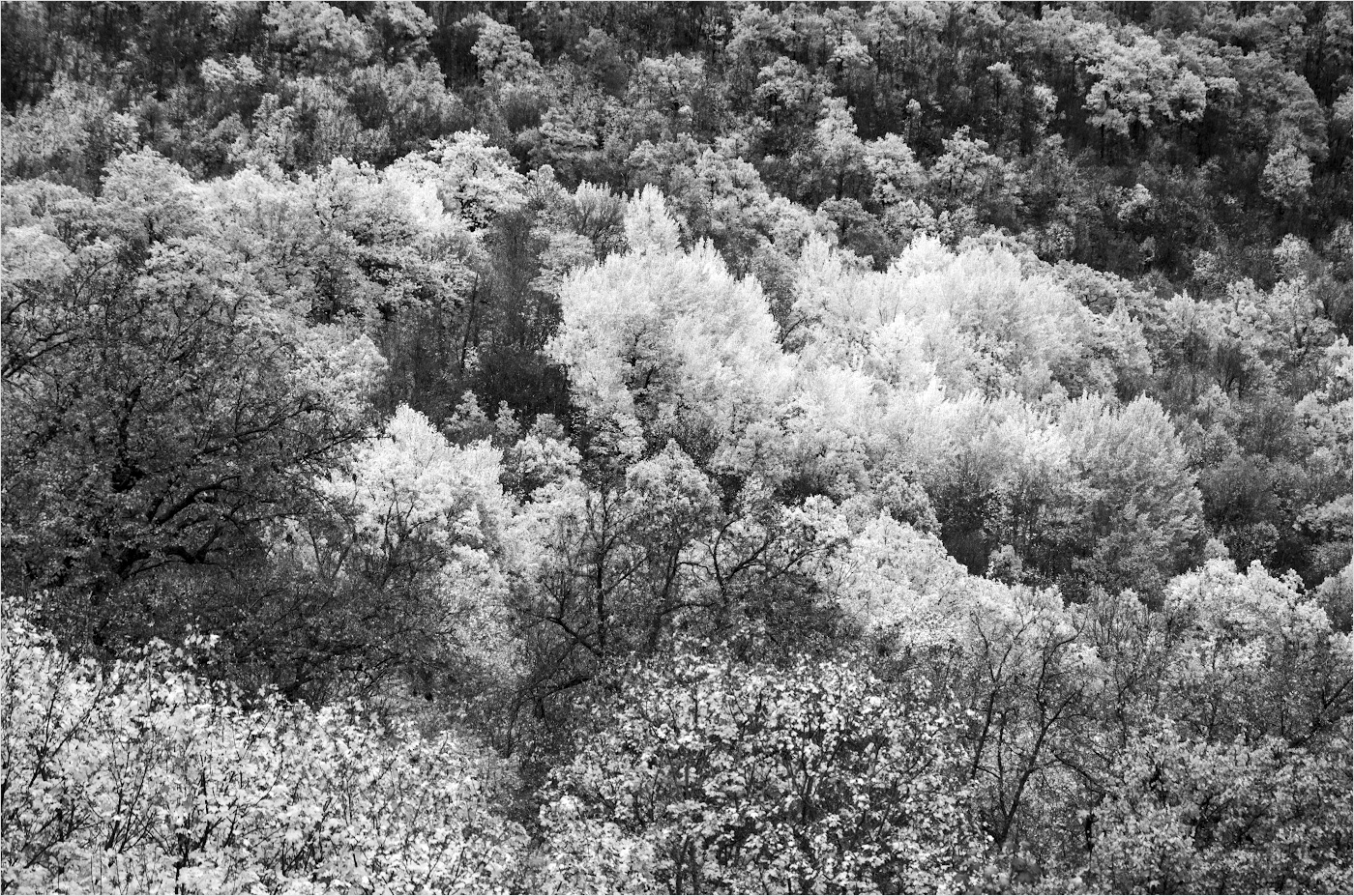 море не волнуется