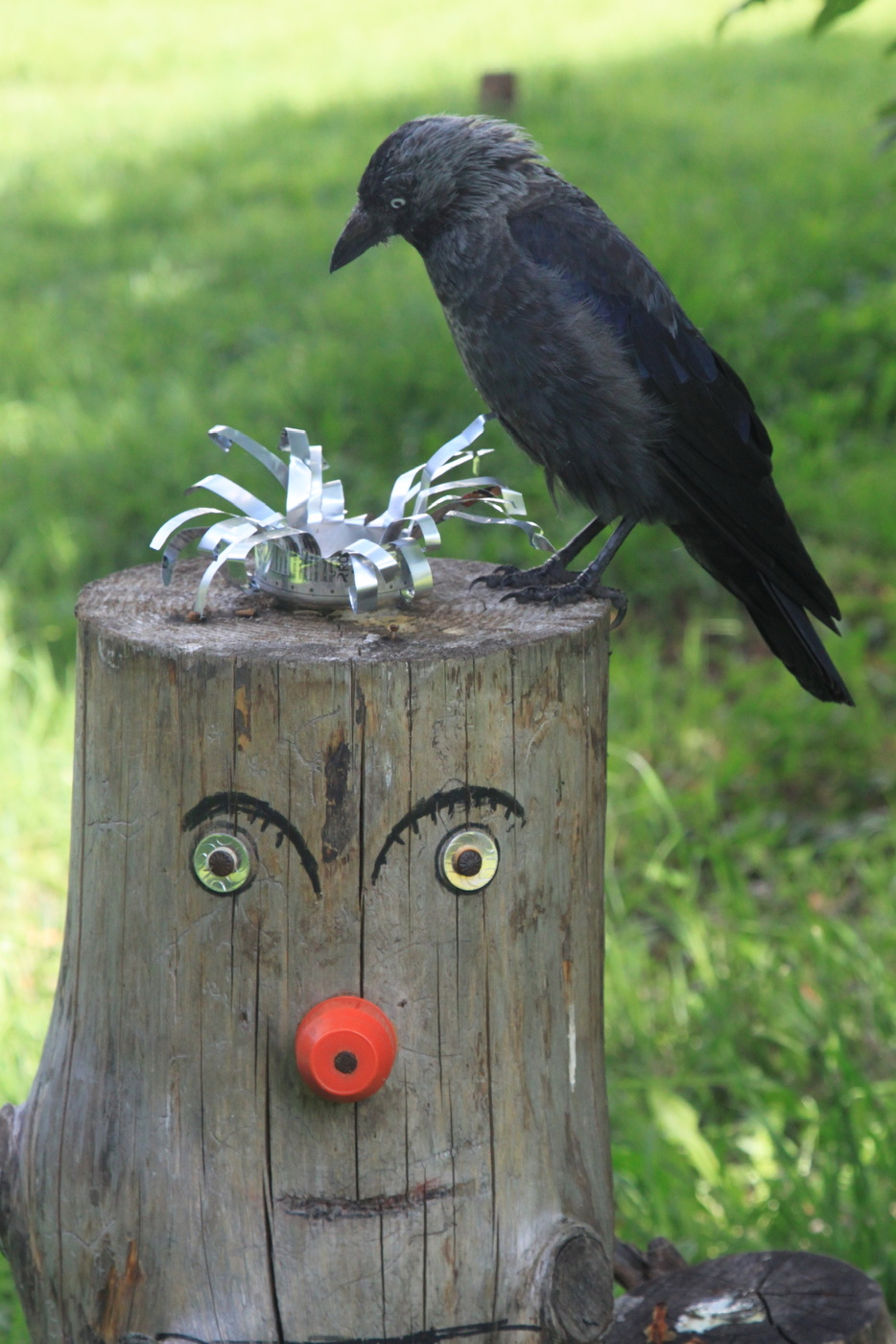 Что бы это значило?…