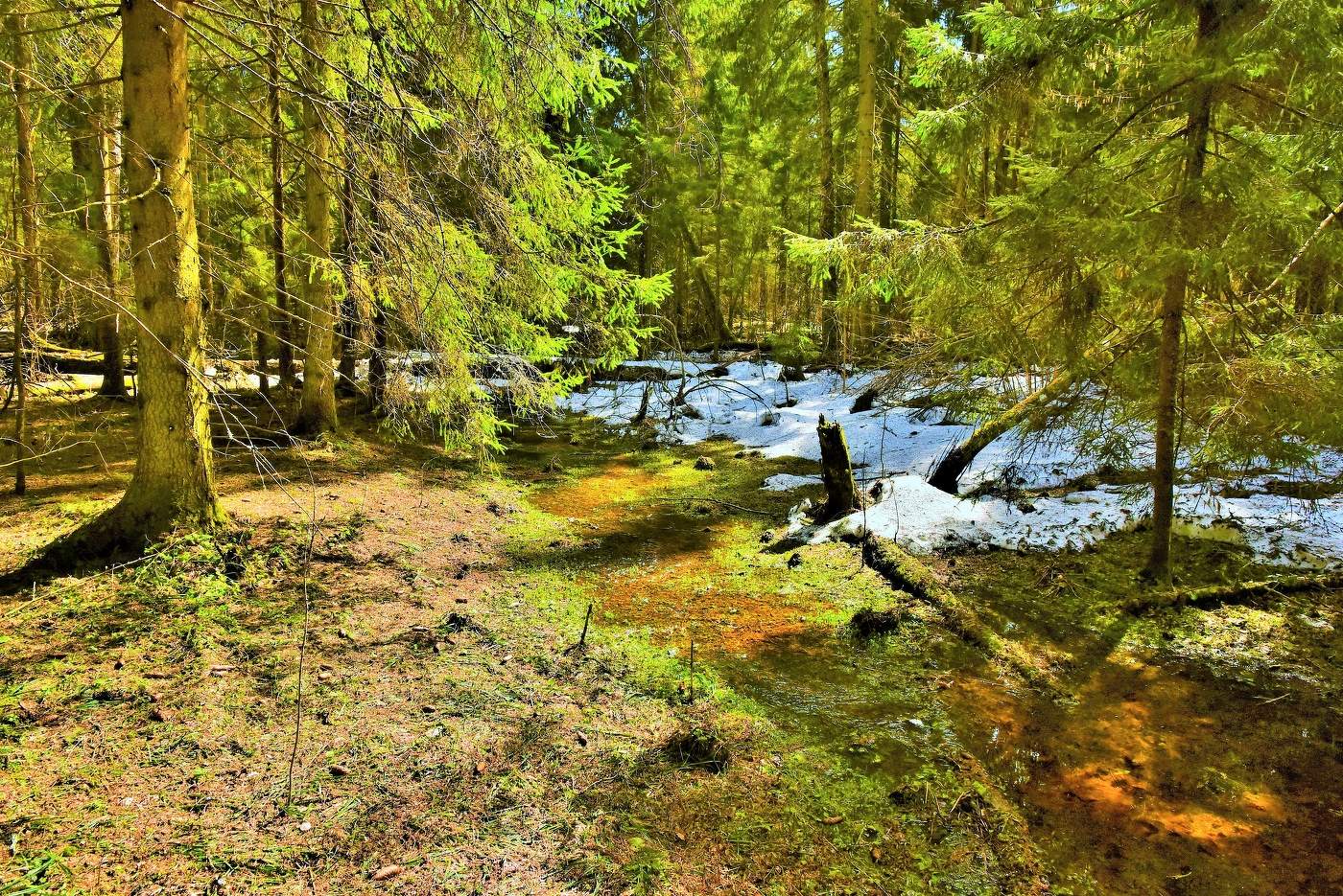 "Вдыхал весну - так пахнет прядь волос красавиц юных..."