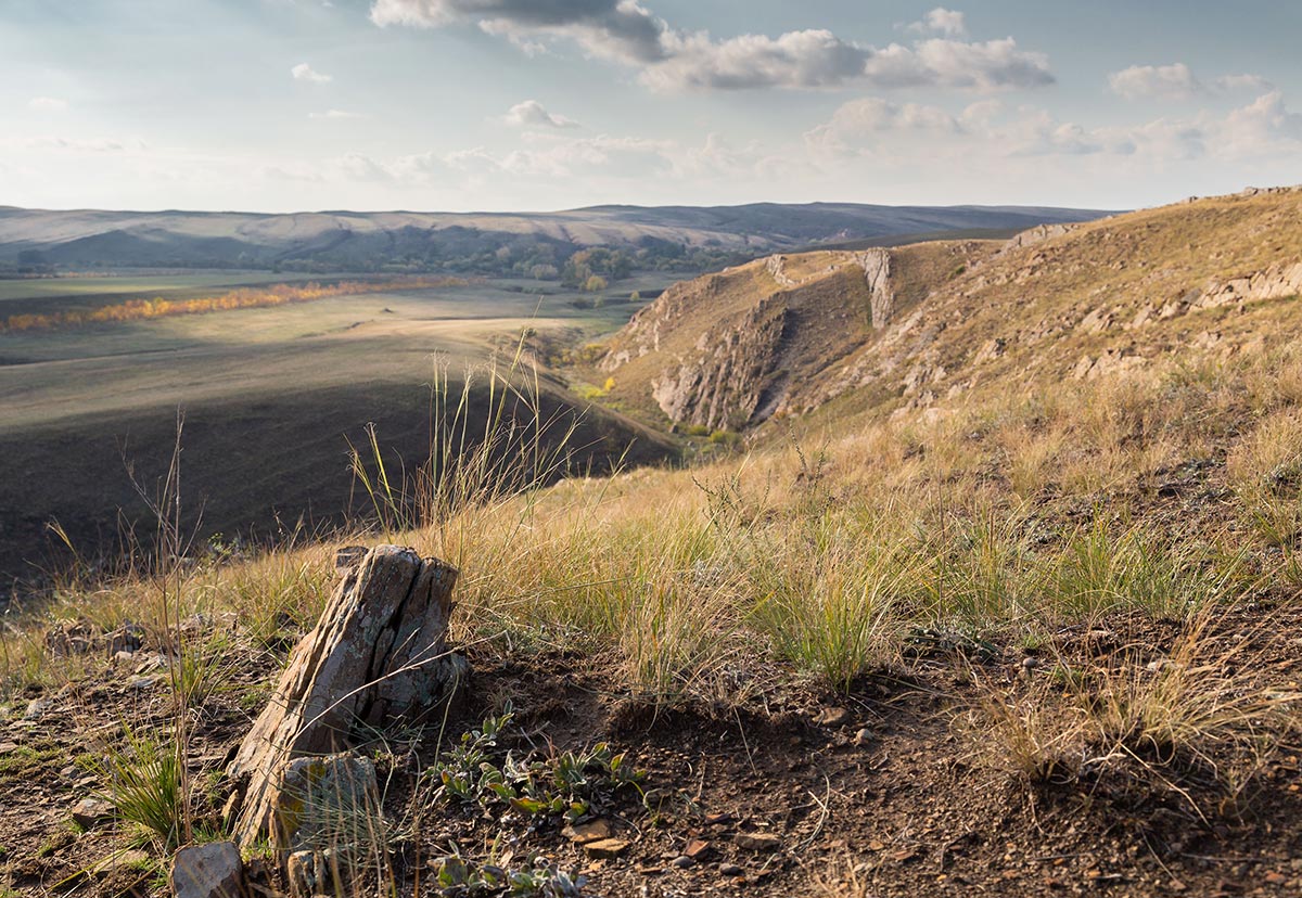 Степные картинки