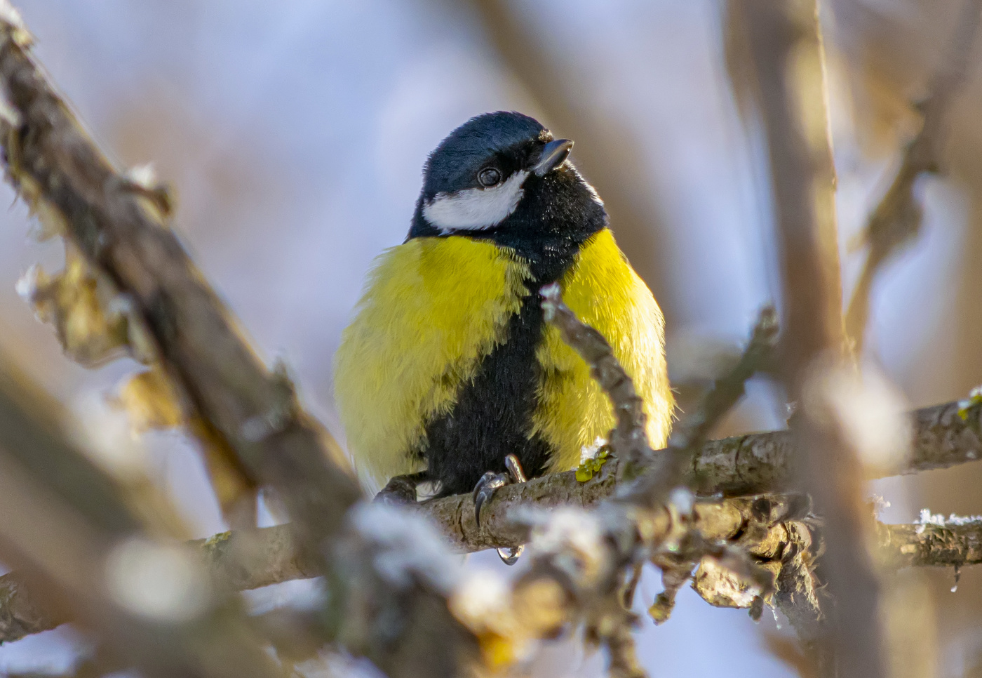 так!! ... чем бы мне теперь заняться?