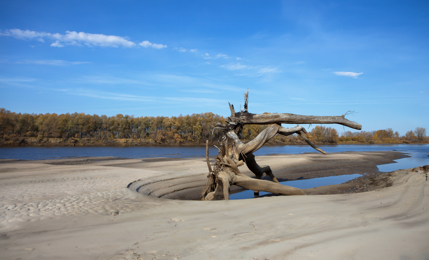 Фантазии природы(2)