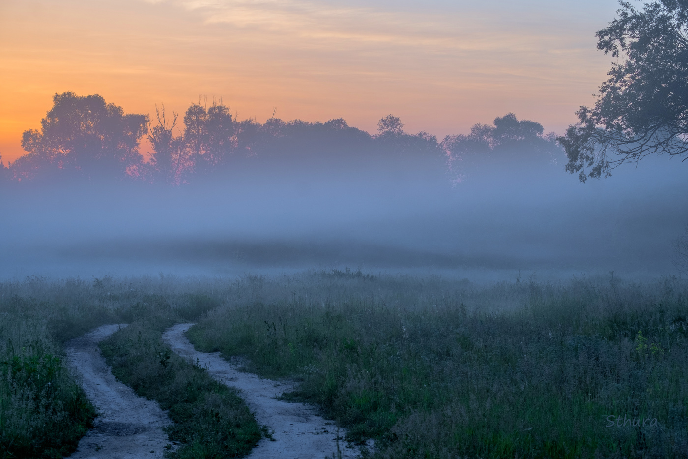 По дороге в туман.