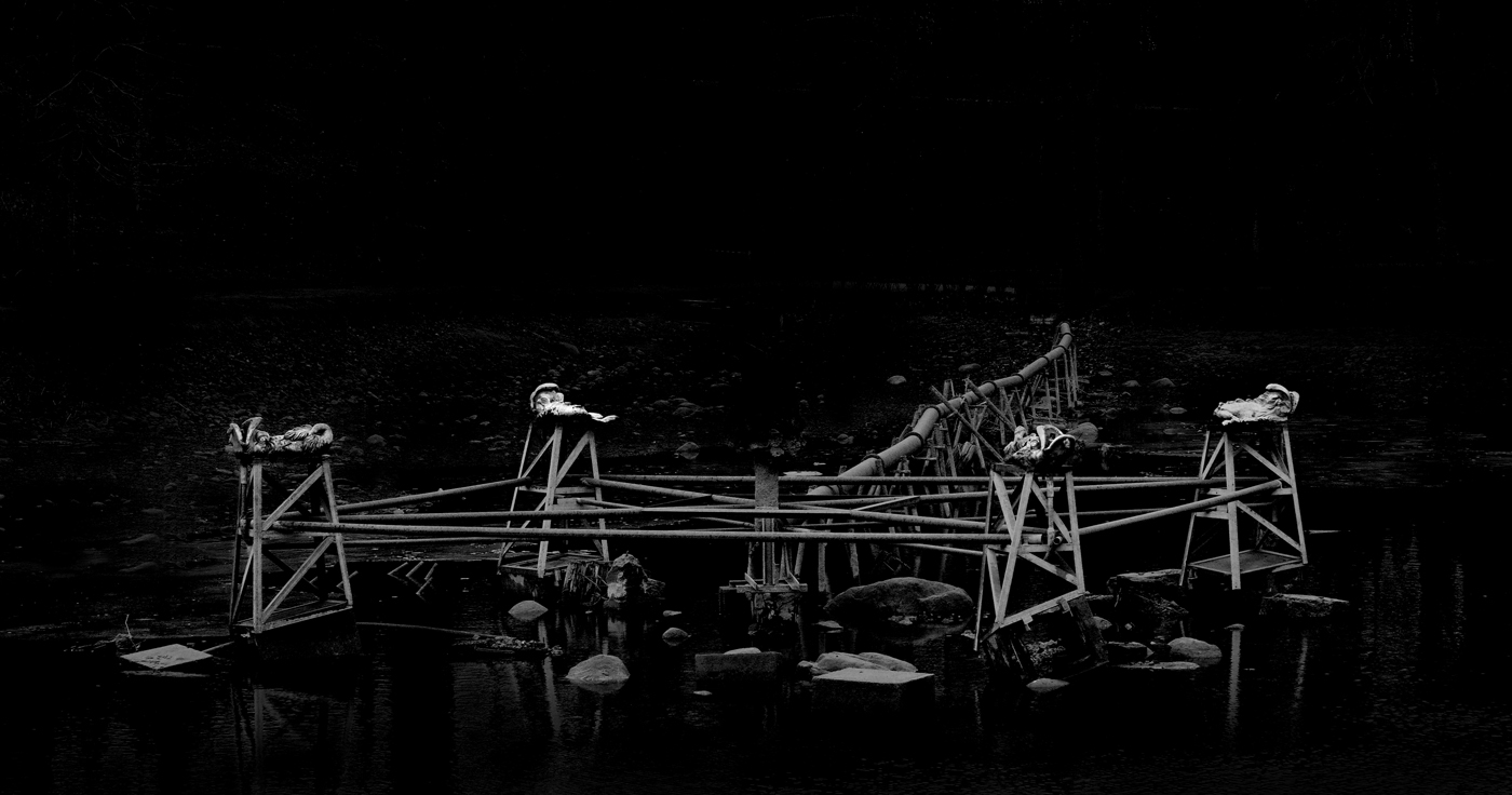 Нестандартный Петергоф - 29