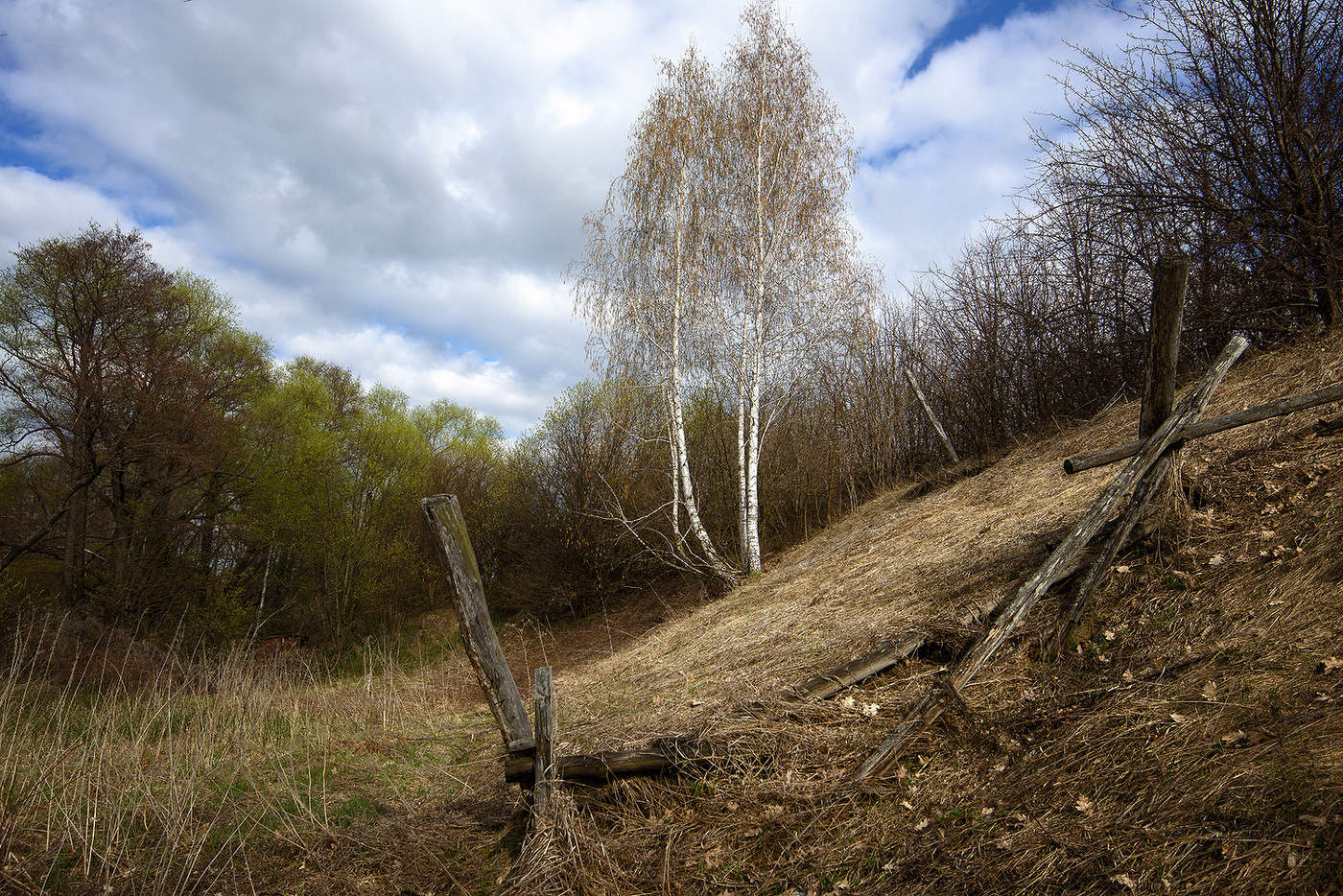 Про раннюю весну...