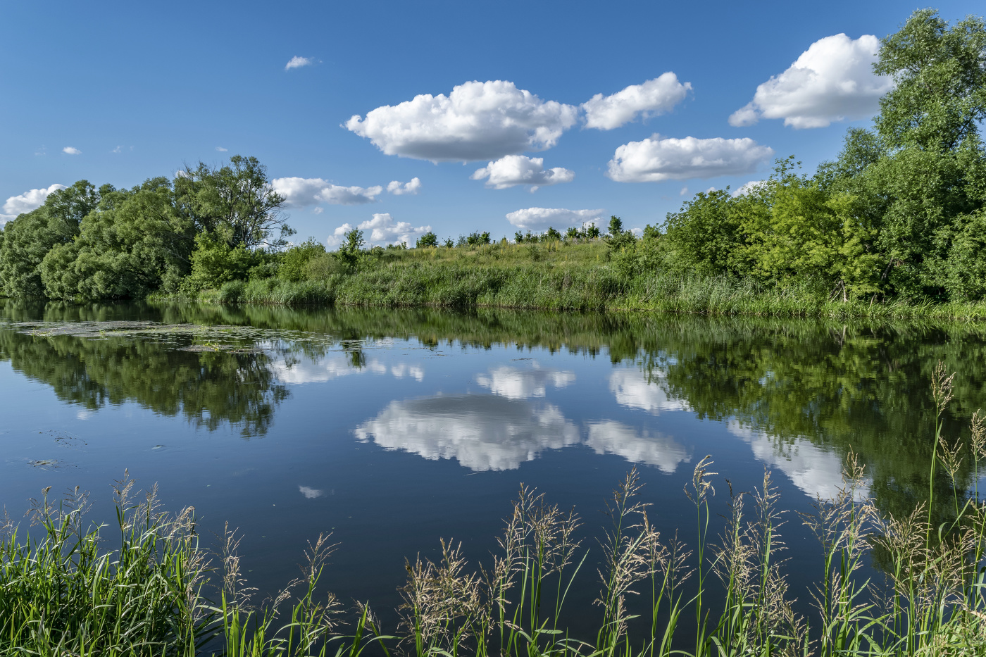 вверх по течению