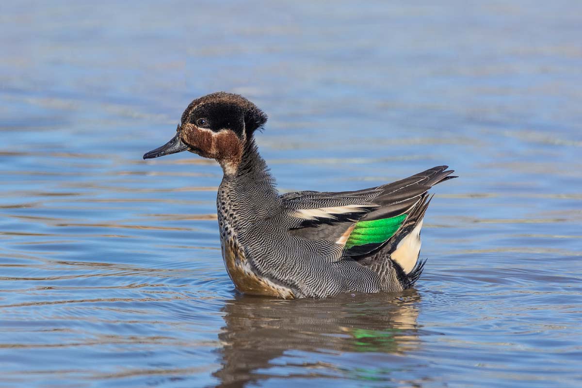 Увидел подругу.