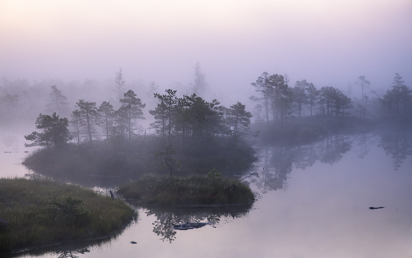 Похож на обман