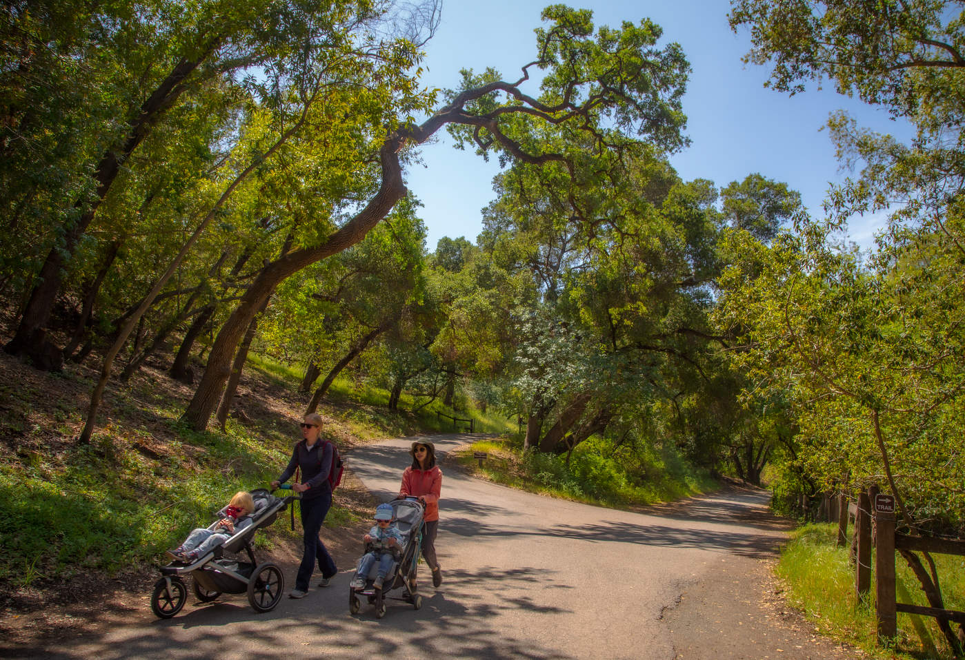 В парке старинном