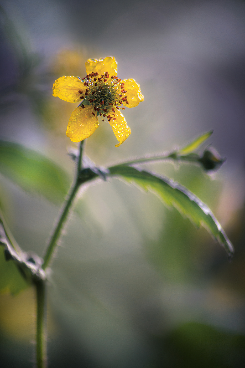 Здравствуй, МАЙ!