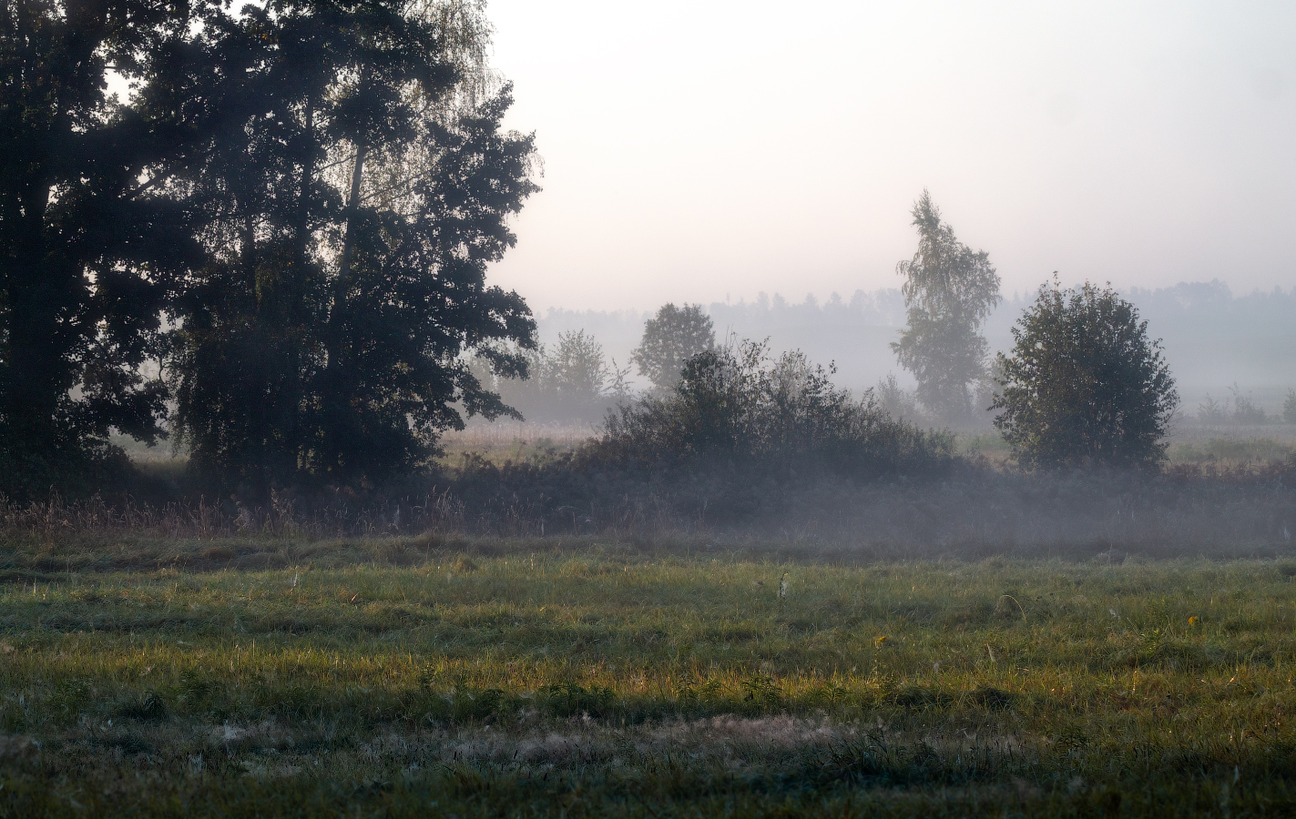 Ранним утром