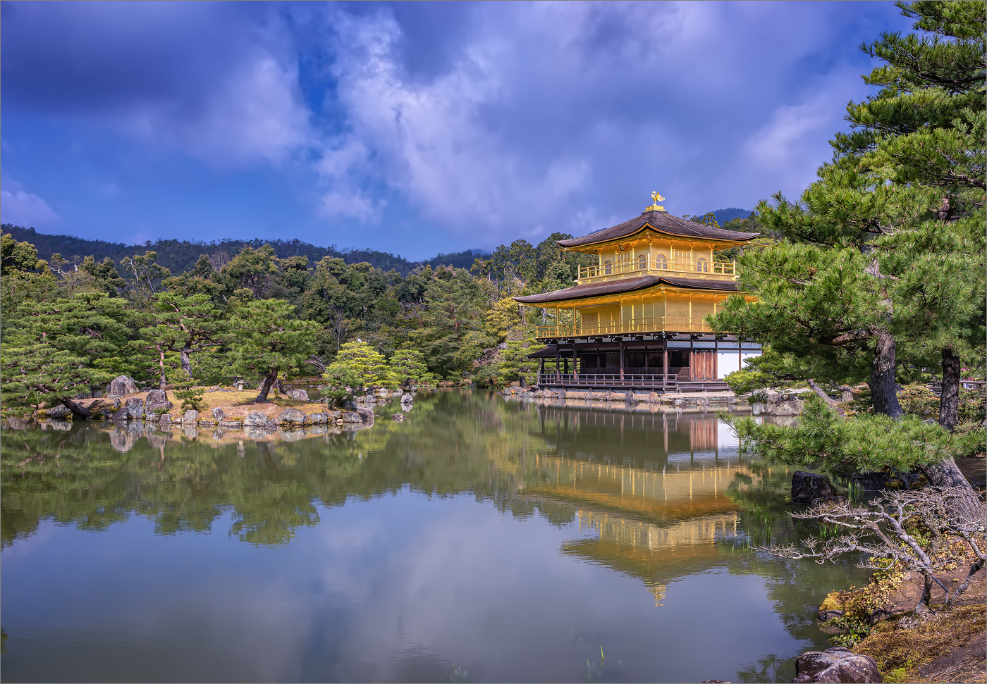 Роковая красота