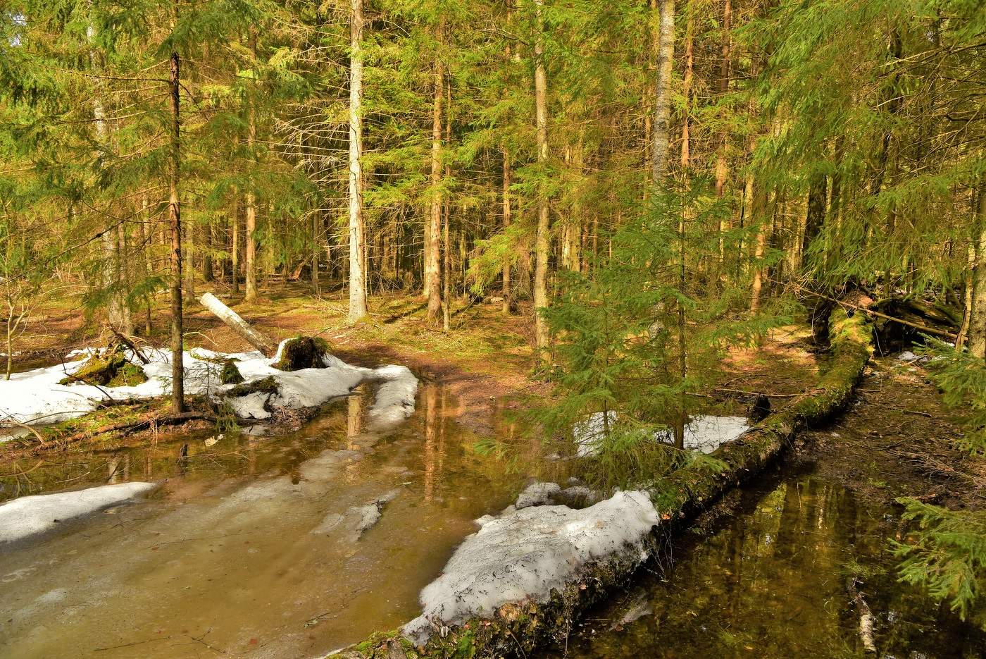 Дороги весенние ...