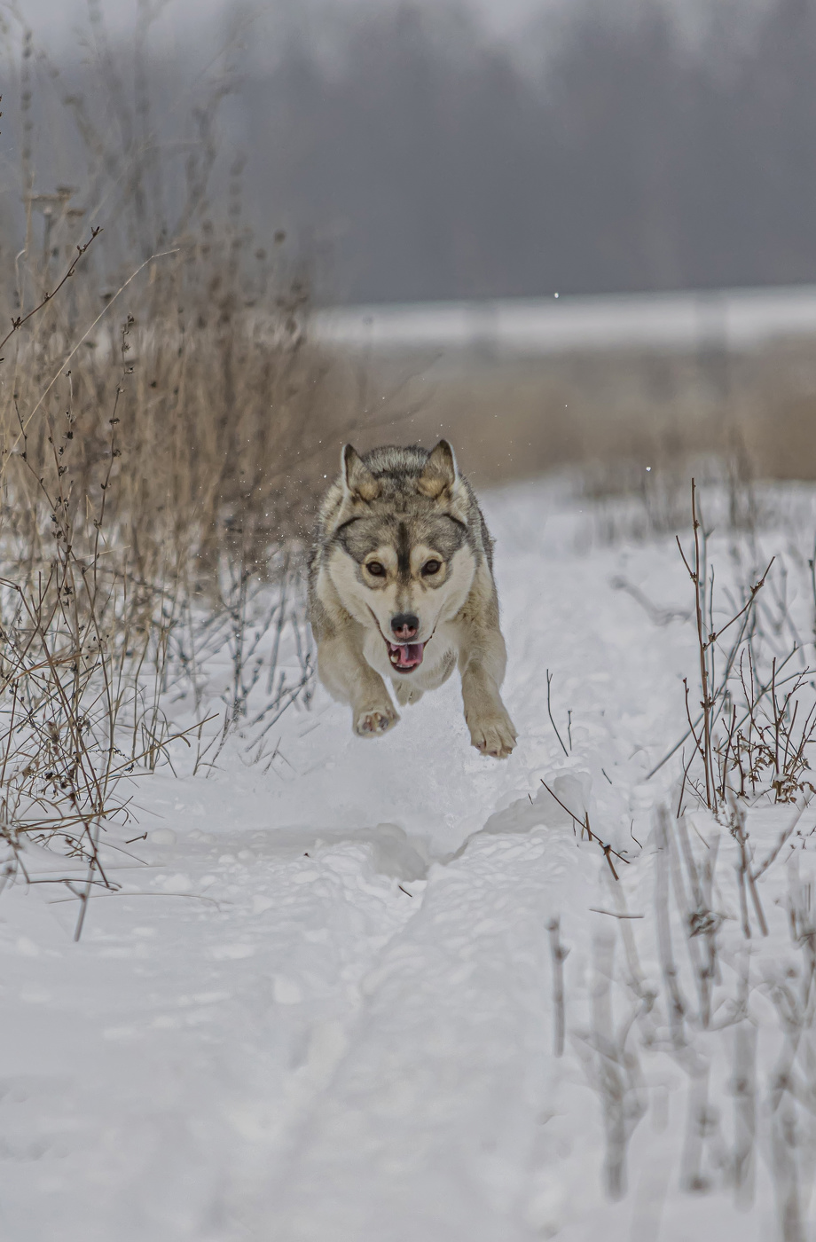 я лечуууу.....!!