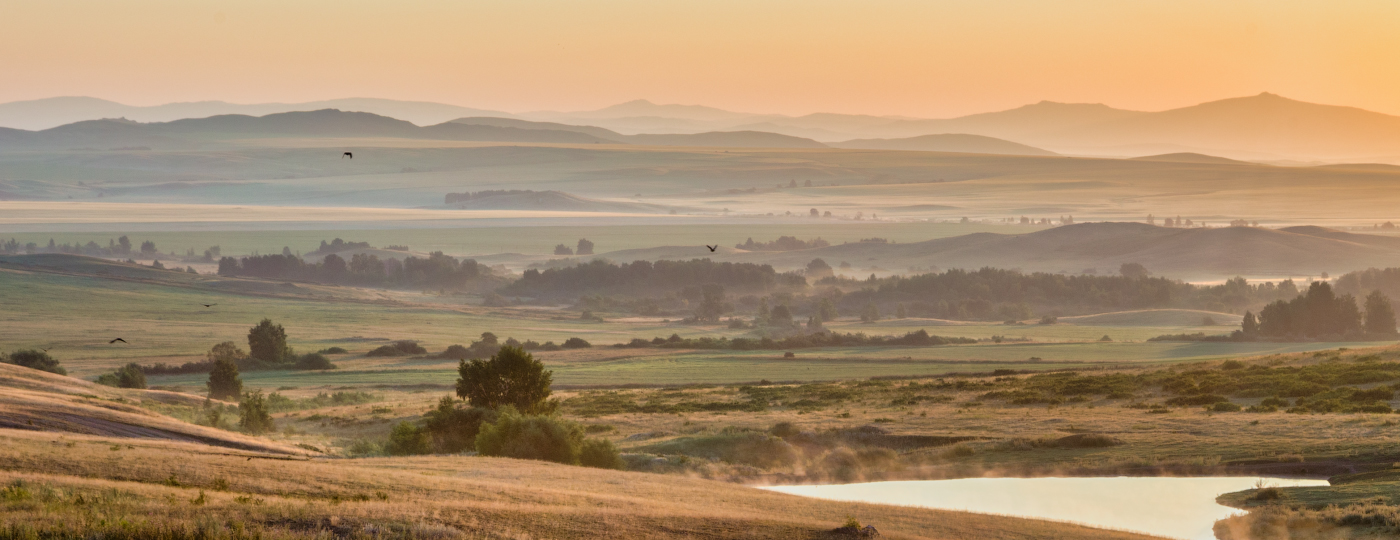 Летнее утро