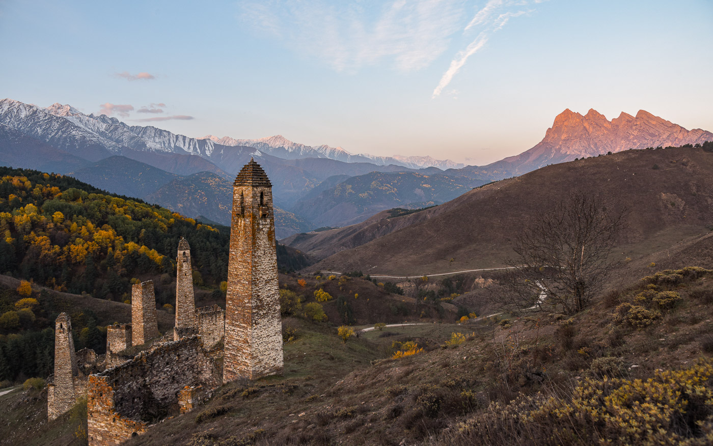 Башни комплекса Пялинг