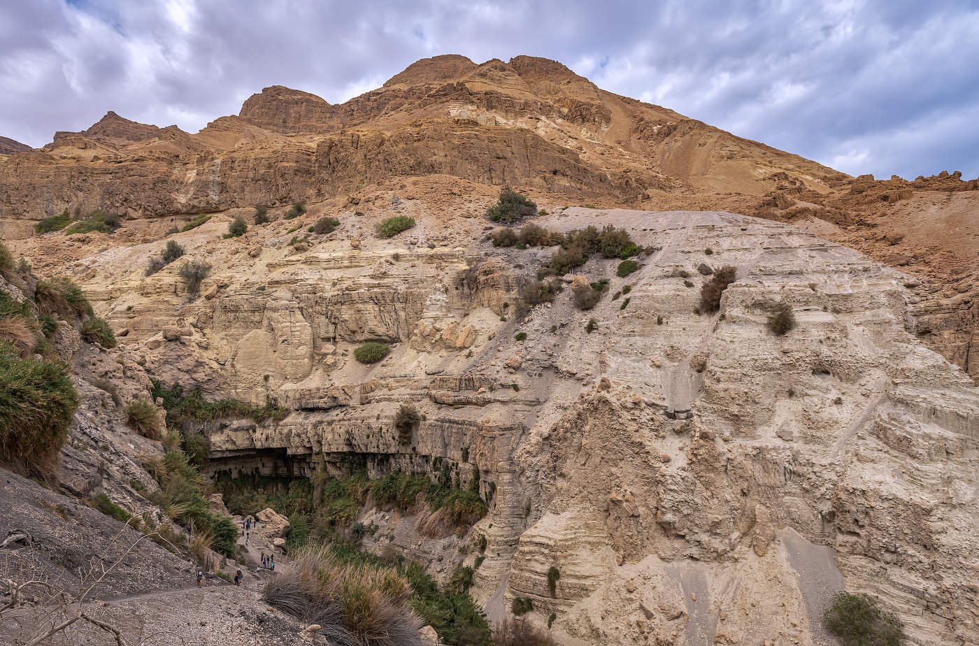 Оазис в пустыне