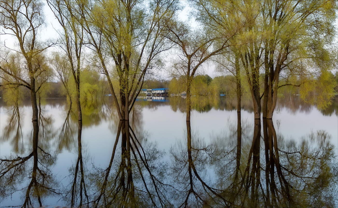 Тени на воде.