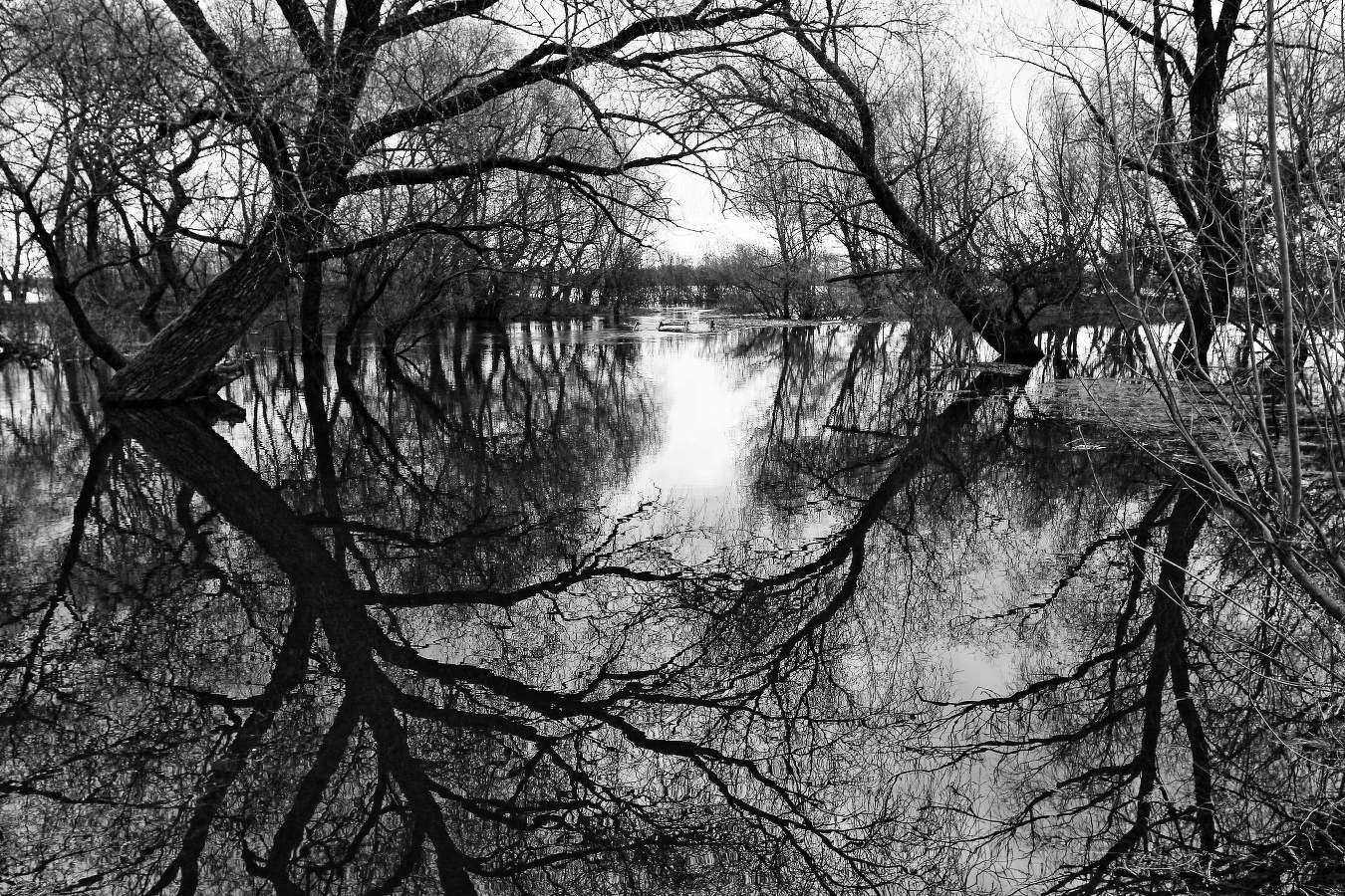 Весенний разлив !!!