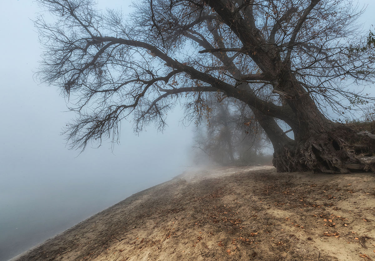 На осеннем берегу