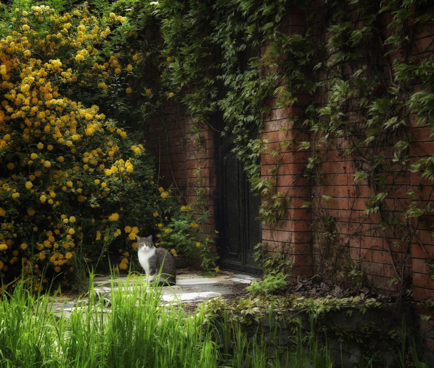 У родного порога