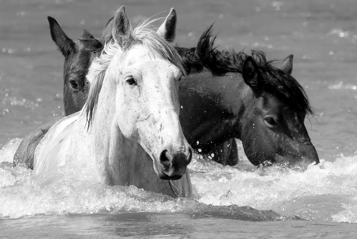На переправе
