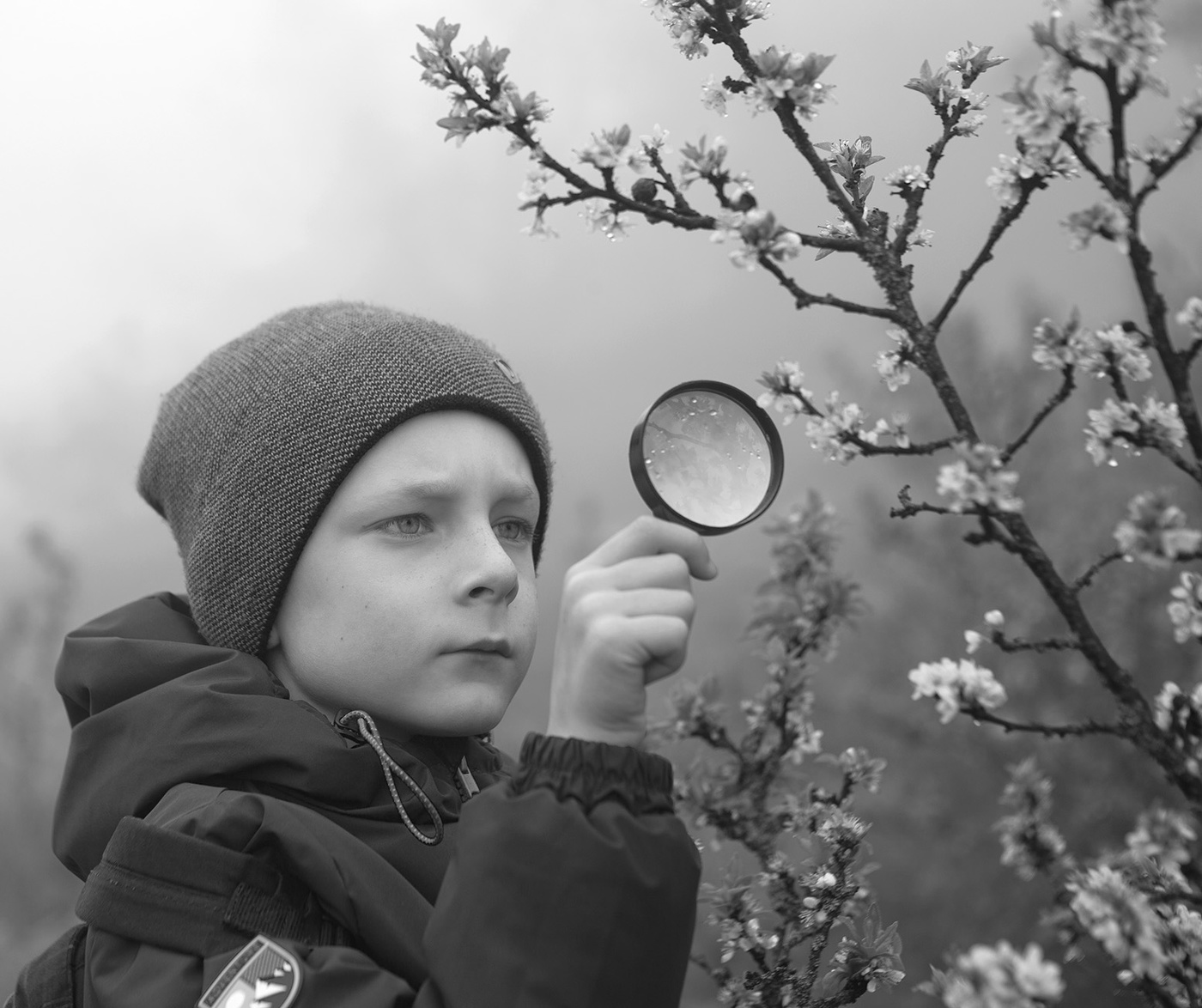 Исследователь