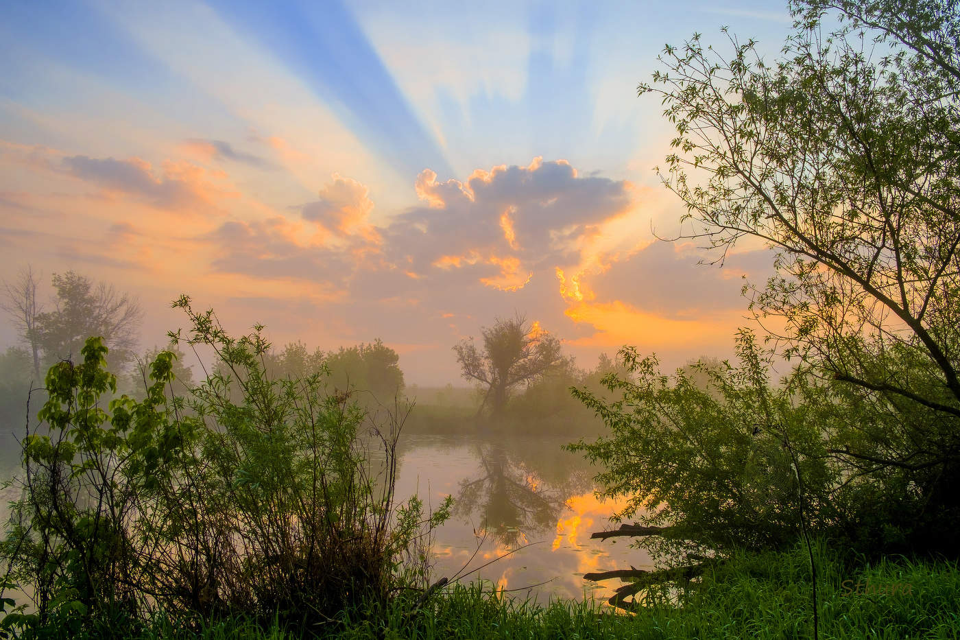 Утренний пейзаж.