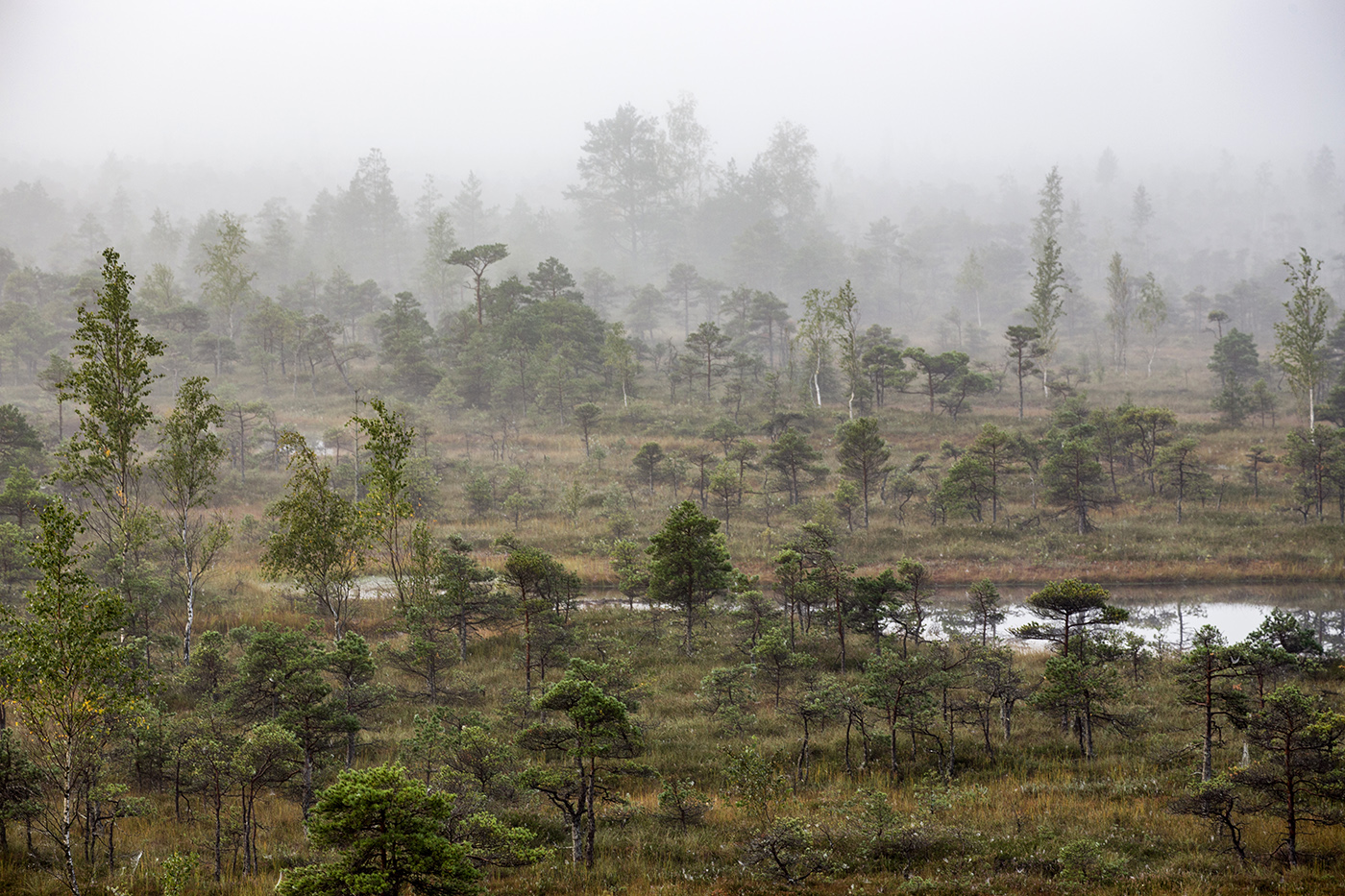 Что скрывает туман