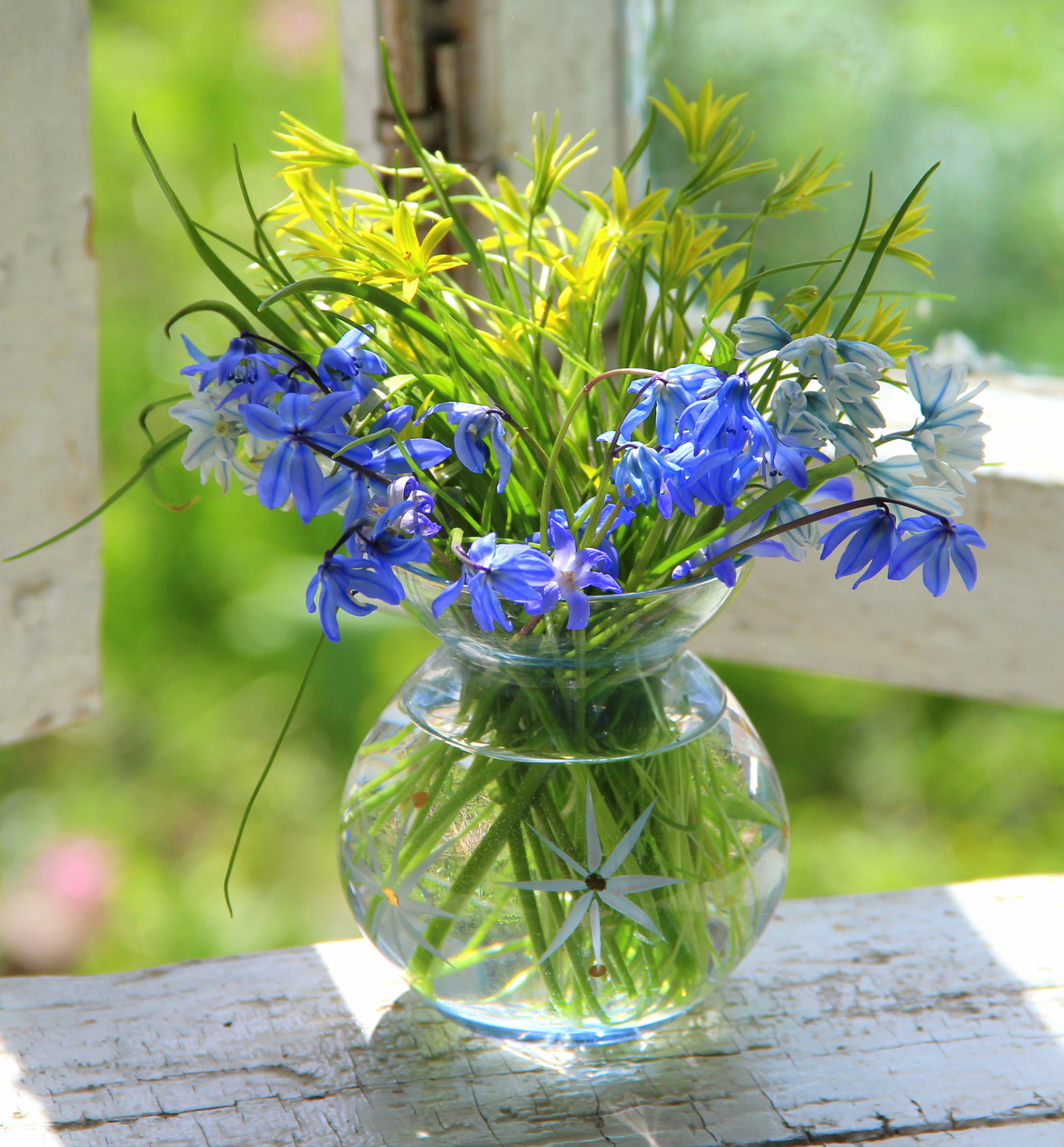 Букетик первоцветов!