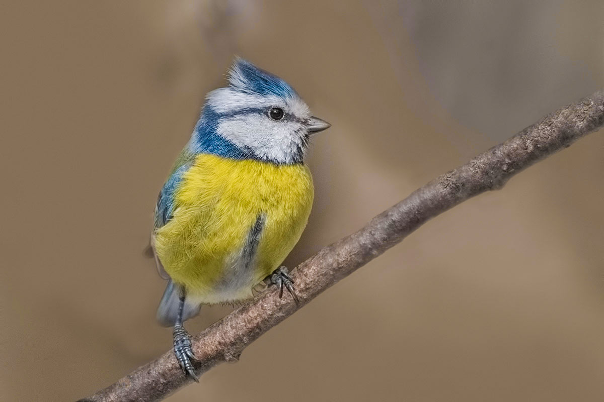 После салона красоты.