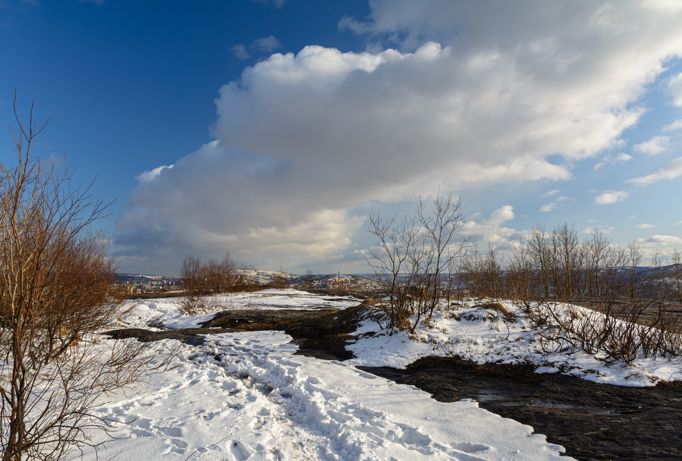 по свежему майскому снежку