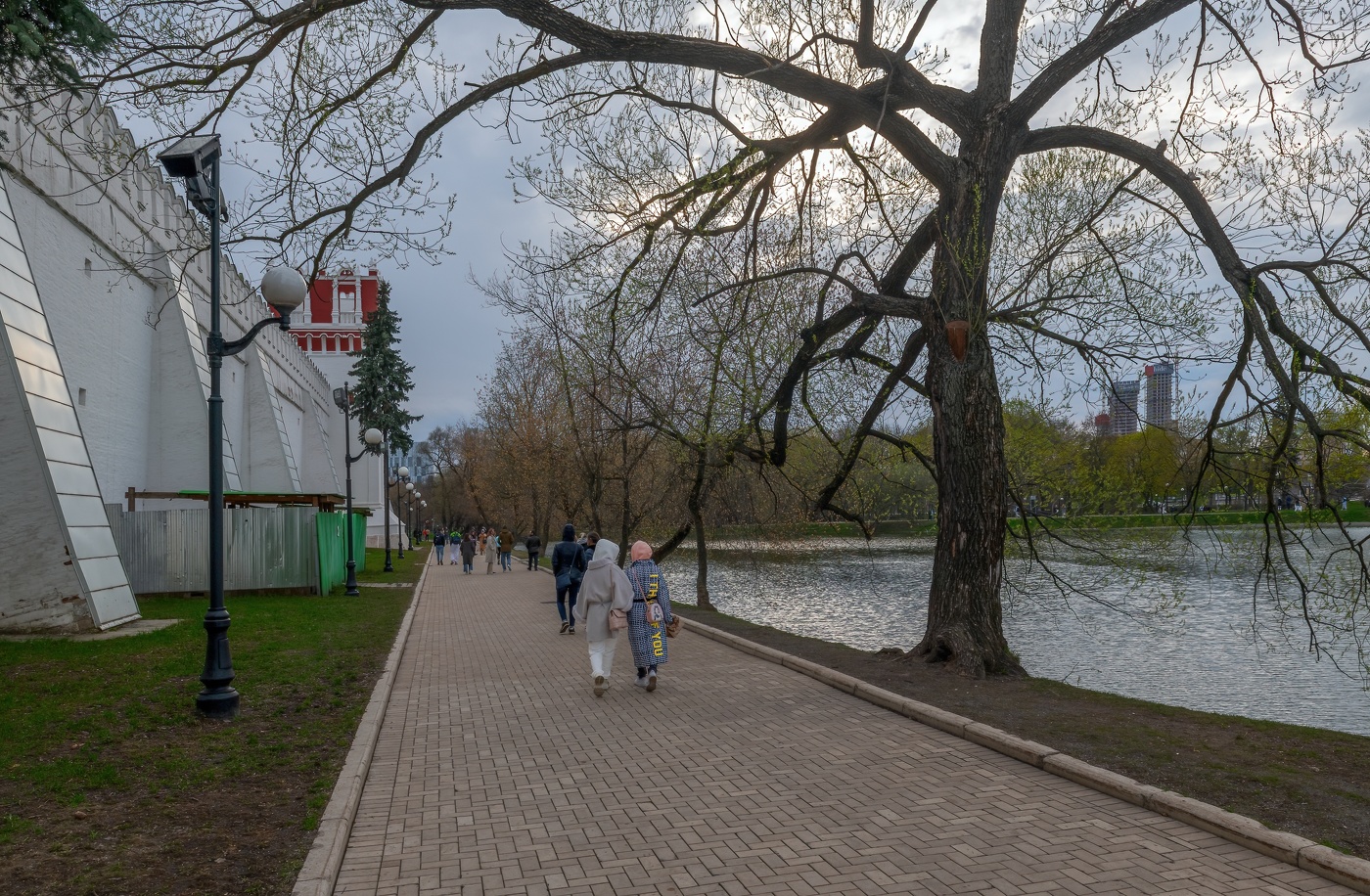 Возле Новодевичьего монастыря