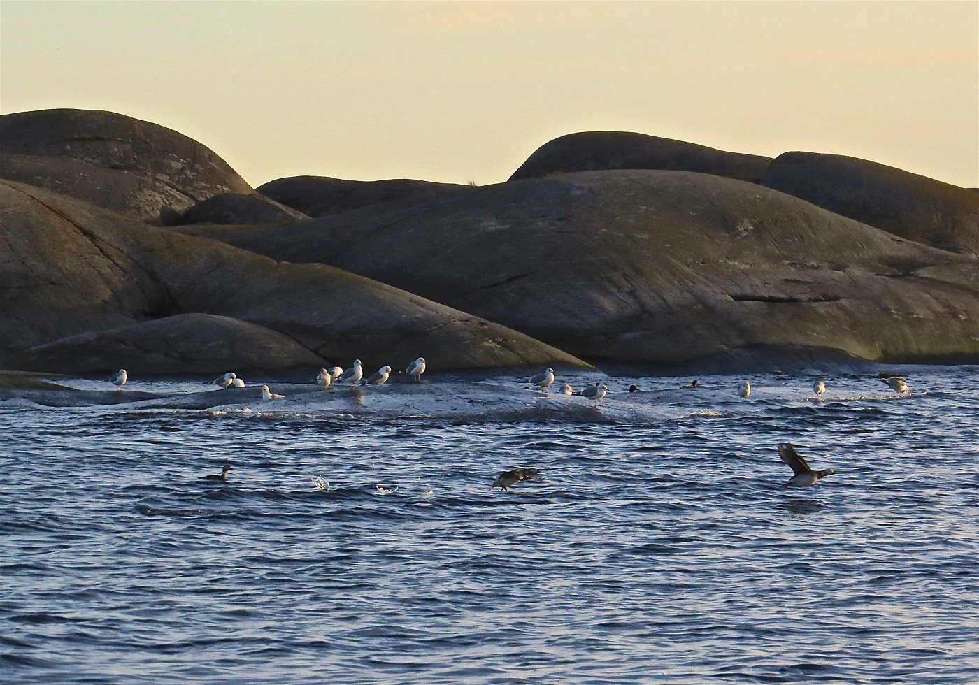 В трёх стихиях