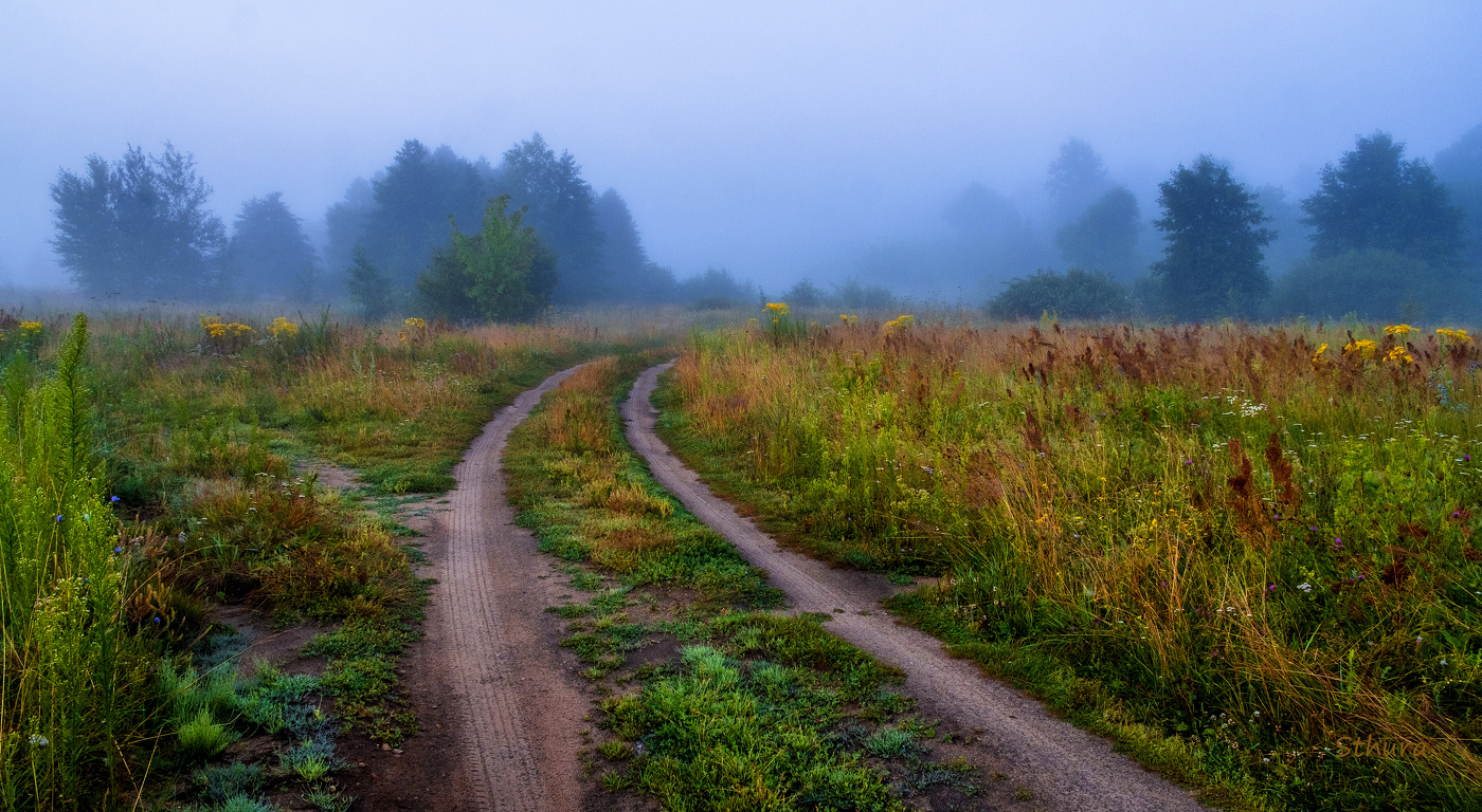 Дорога по летнему лугу.