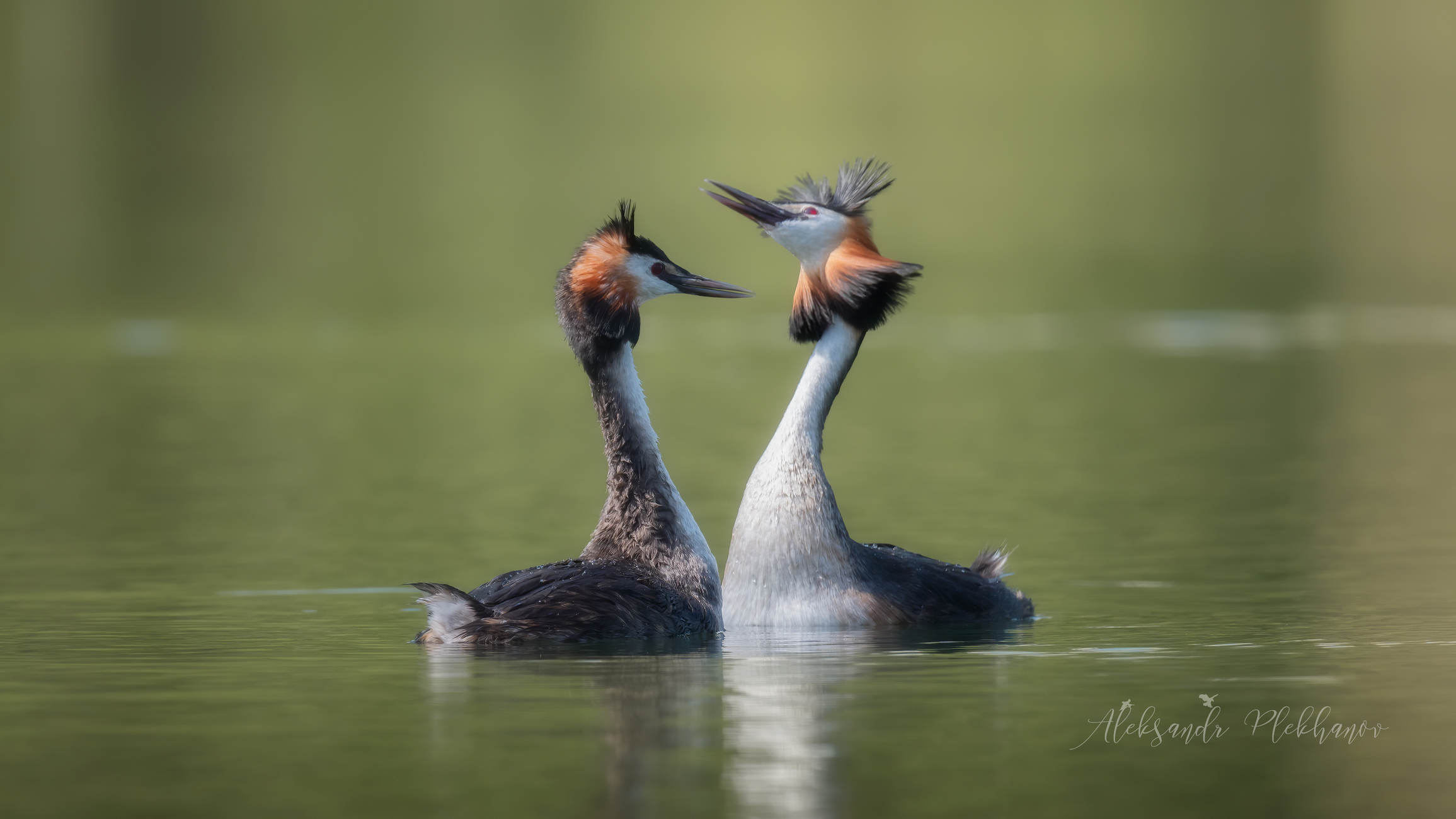 Танец любви