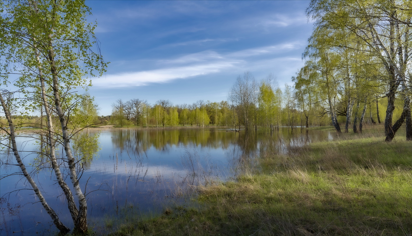 Свежесть Майского леса.