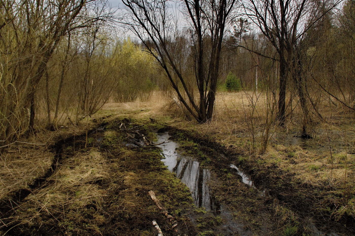 Весенняя дорога.