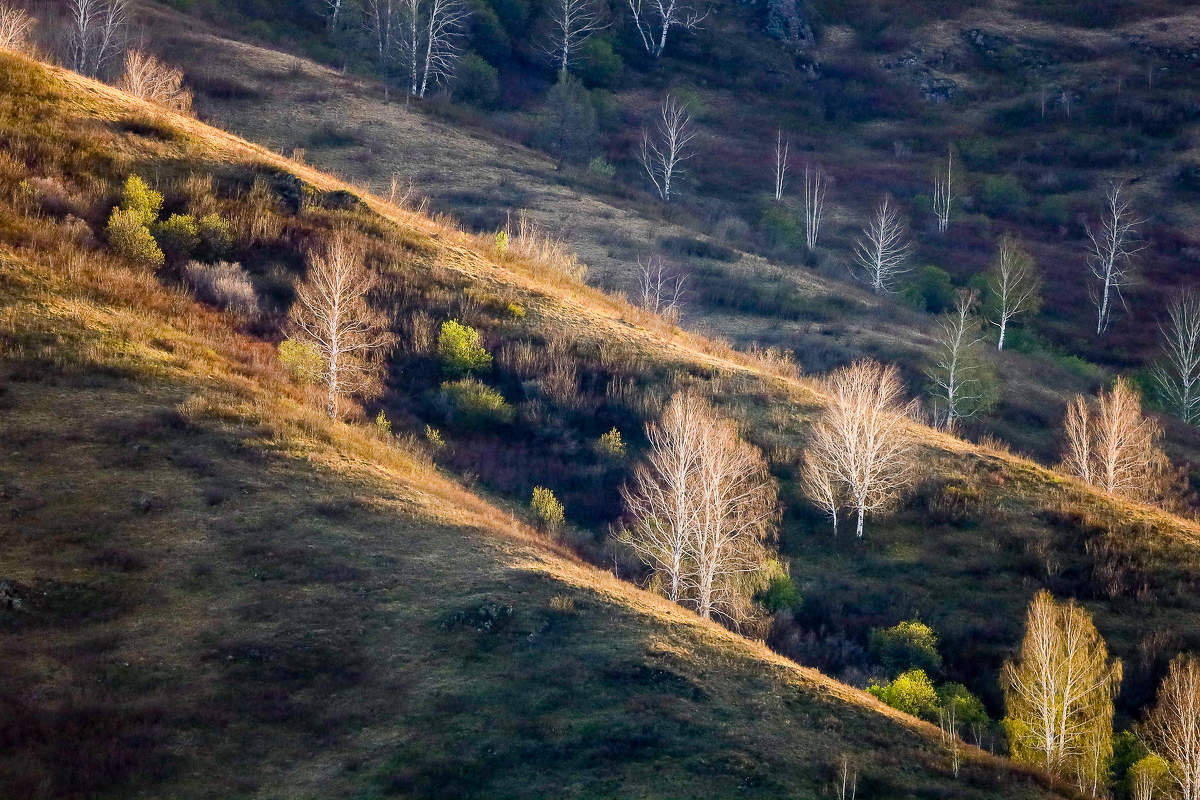 Весенние склоны